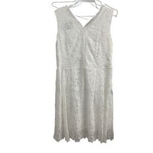 NWT Studio B White lace dress knee length size 10